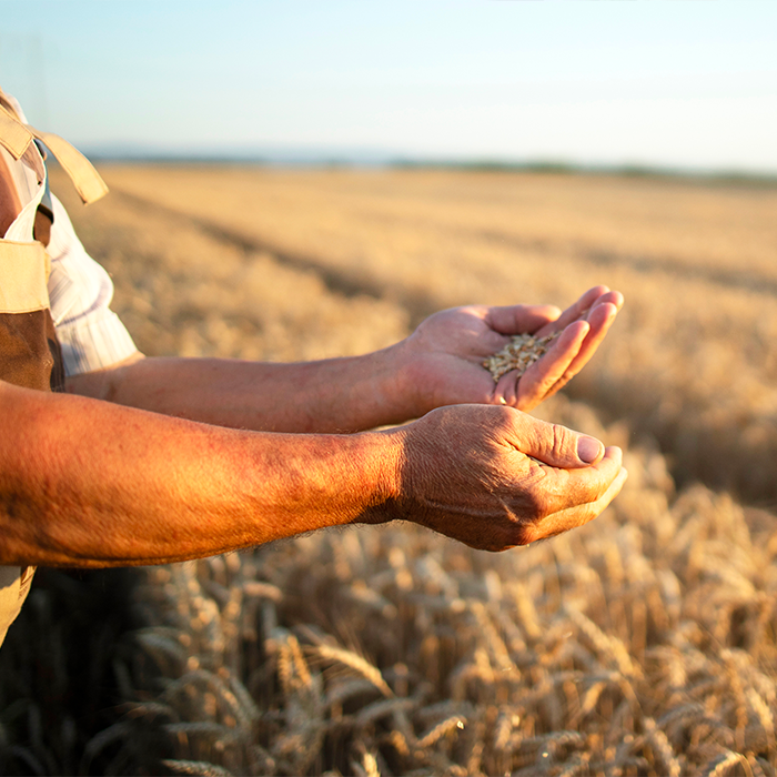 Agricoltura