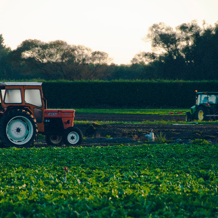 Agricoltura - green - natura