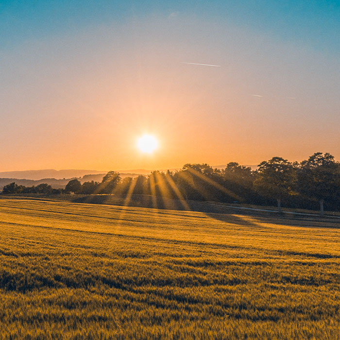 Agricoltura - green - natura