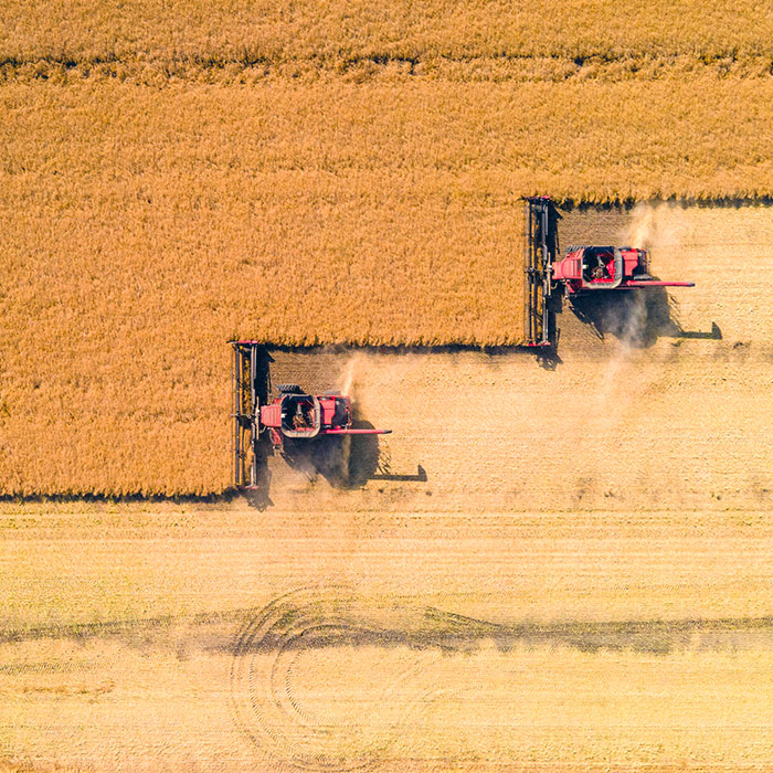 Agricoltura - green - natura