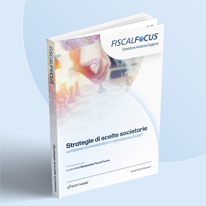 ebook Strategie di scelte societarie