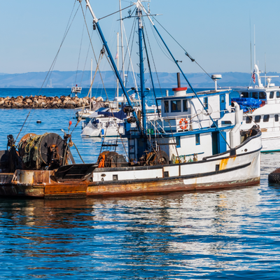 pesca