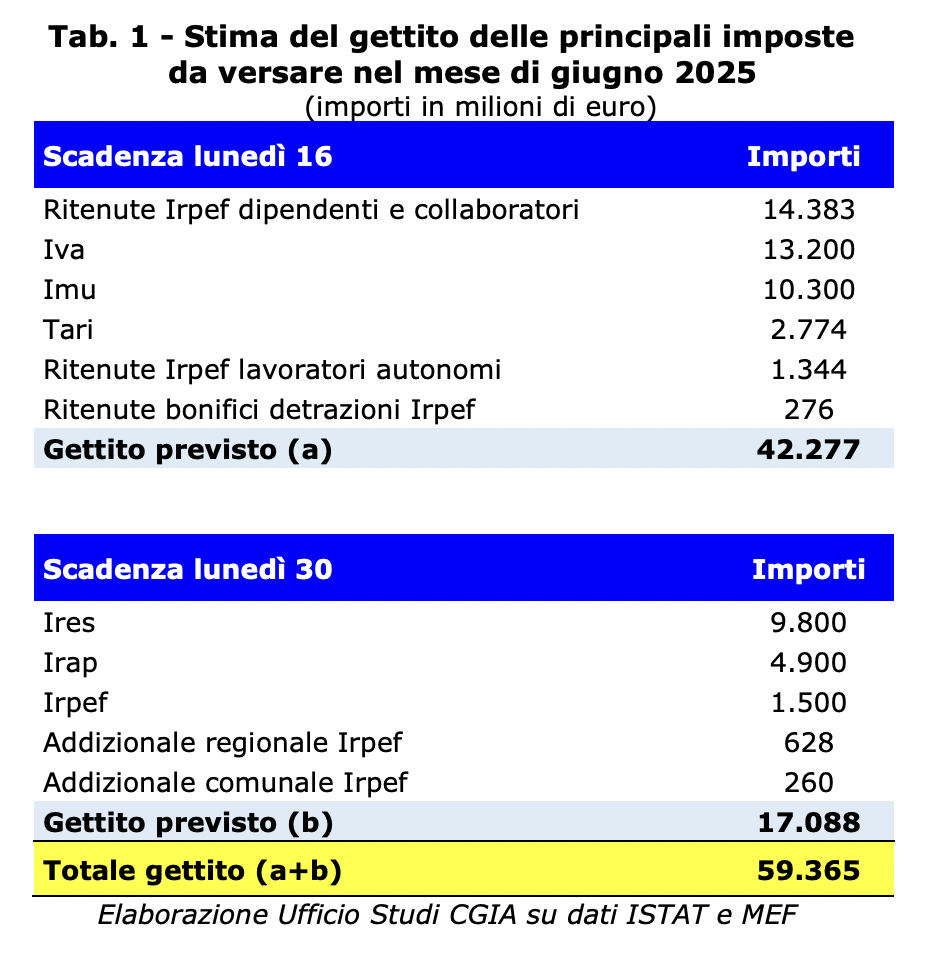 tasse 2025