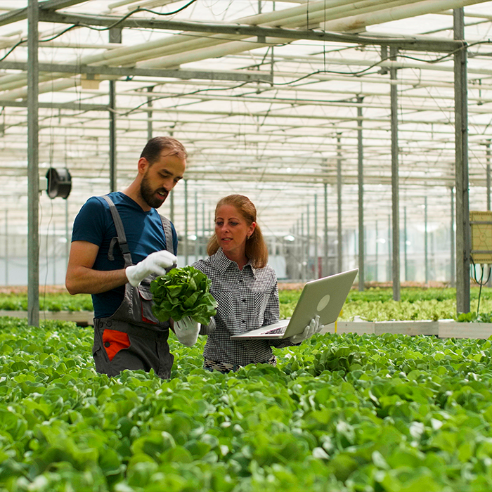Agricoltura