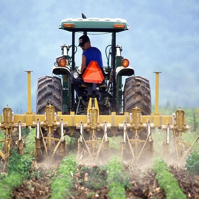 agricoltura lavoro