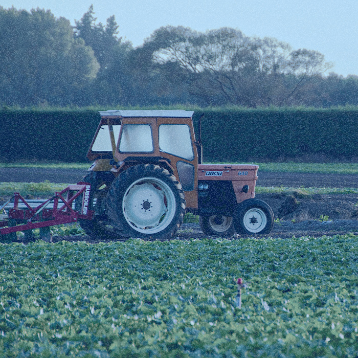 Agricoltura - green - natura