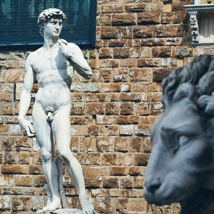 david michelangelo