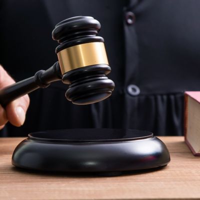 Sentenza / sentenza / legale / Giurisprudenza