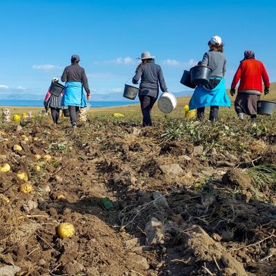 Lavoro stagionale