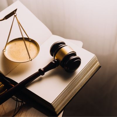 Tribunale